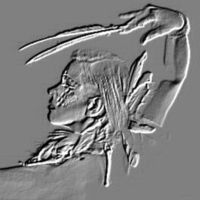 FIVE HEARTS, ONE VISION