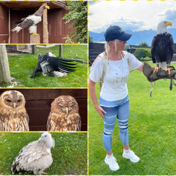RAPTOR PARK